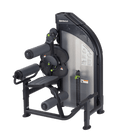 SportsArt DF-306 Back Extension/Ab Crunch