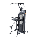 SportsArt DF-307 Assisted Chin-Up/Tricep Dip
