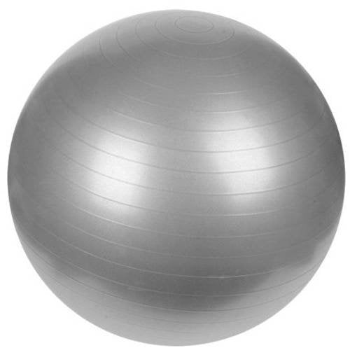 AgileFIT 65cm Weighted Stability Ball