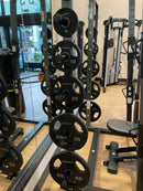 AgileFit Laser Rubber Olympic Grip Plates