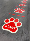 PaviFlex Custom Logo