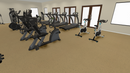 PaviFlex FitnessPro Eco - Terra Rubber Flooring